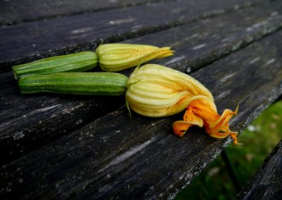 Zucchini di Borgo d’Ale